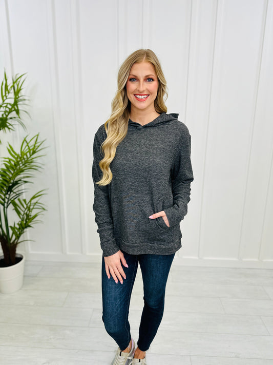 REG/CURVY Do What It Takes Hoodie- Multiple Colors!