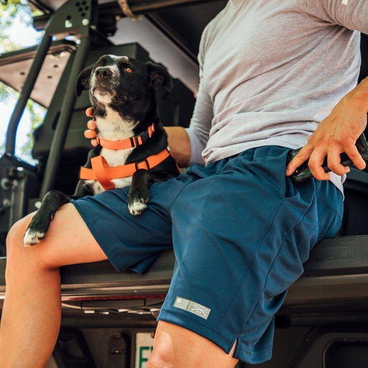 Navy Air Out Shorts  | Grunt Style
